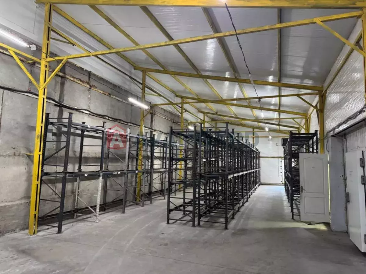 ��������� ���������, 268 ��.�. ���� 3