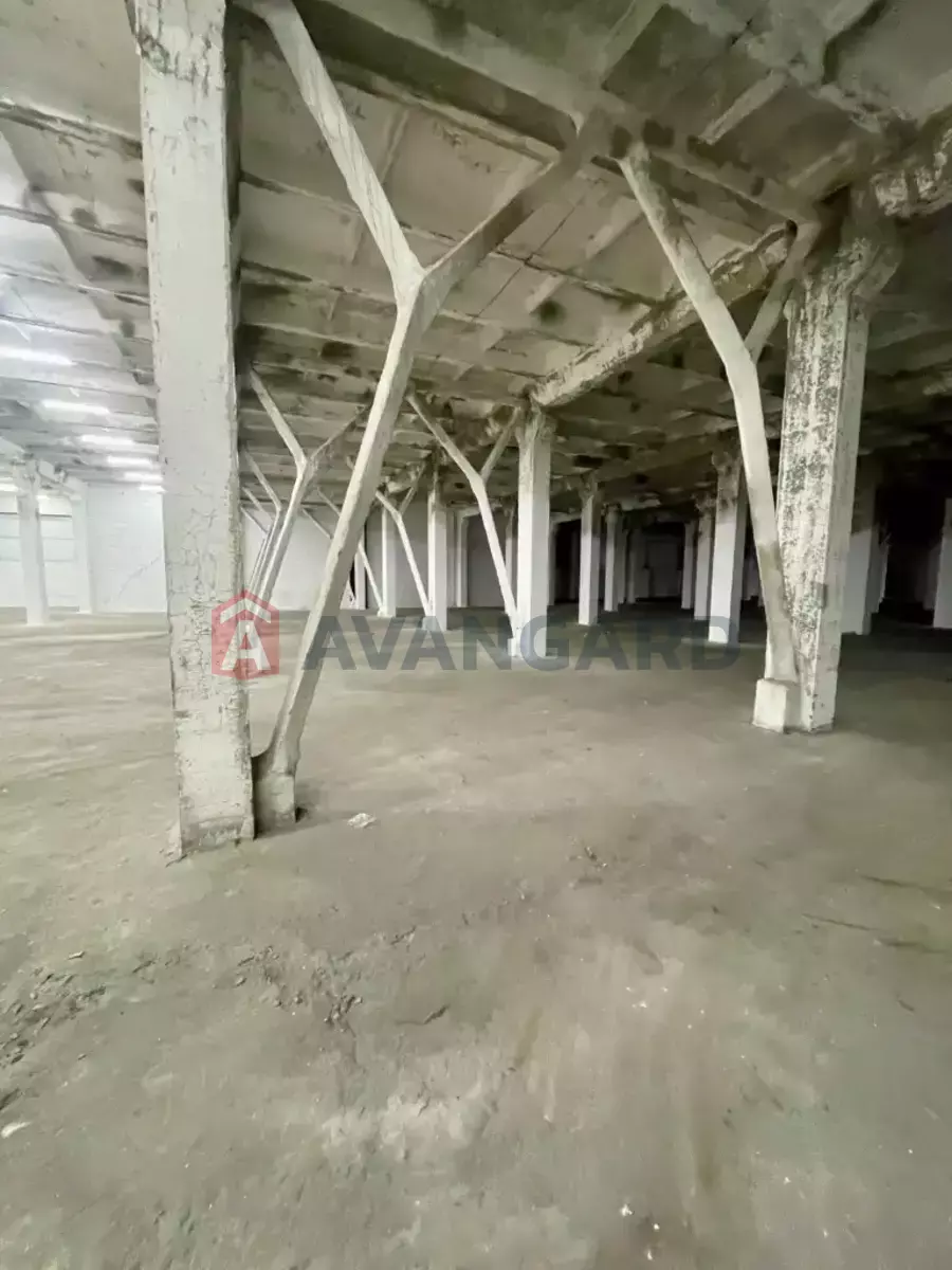 ��������� ���������, 4250 ��.�. ���� 9