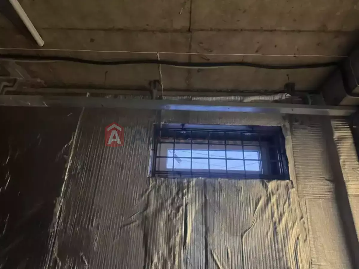 ��������� ���������, 270 ��.�. ���� 11