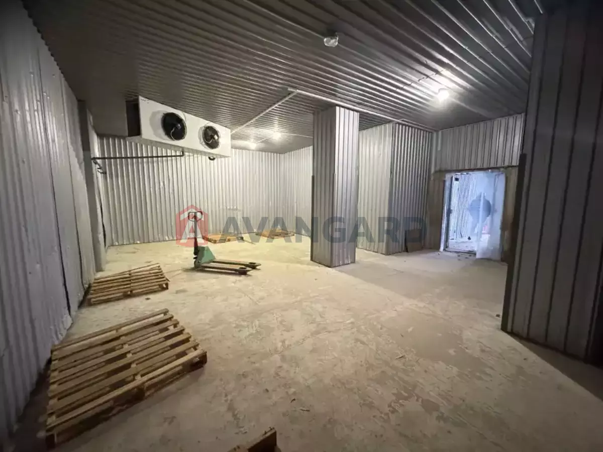 ��������� ���������, 40 ��.�. ���� 7