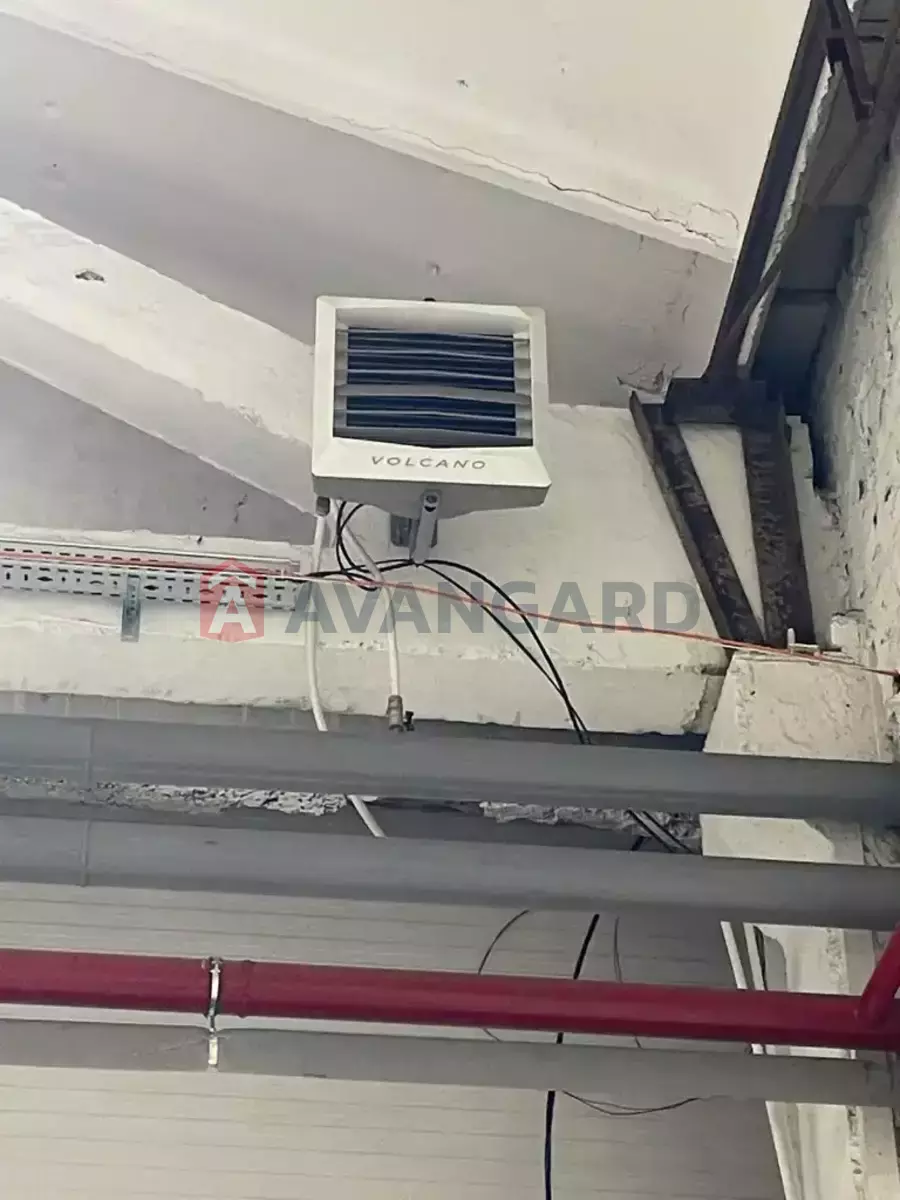 ��������� ���������, 1120 ��.�. ���� 8