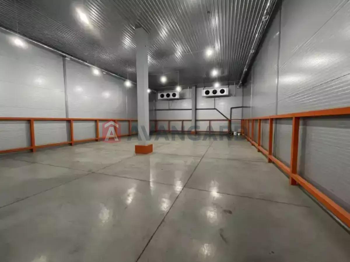 ��������� ���������, 2000 ��.�. ���� 3