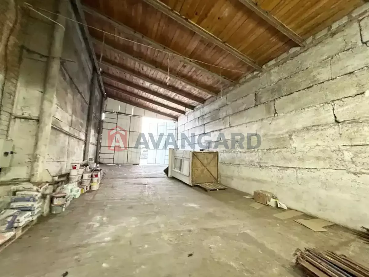 ���������������� ���������, 170 ��.�. ���� 4