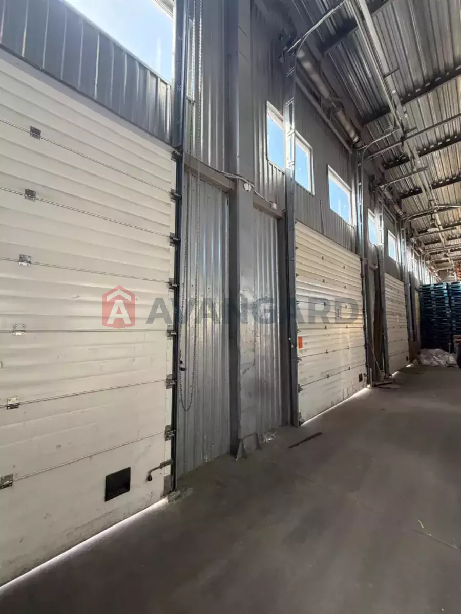 ��������� ���������, 3700 ��.�. ���� 1