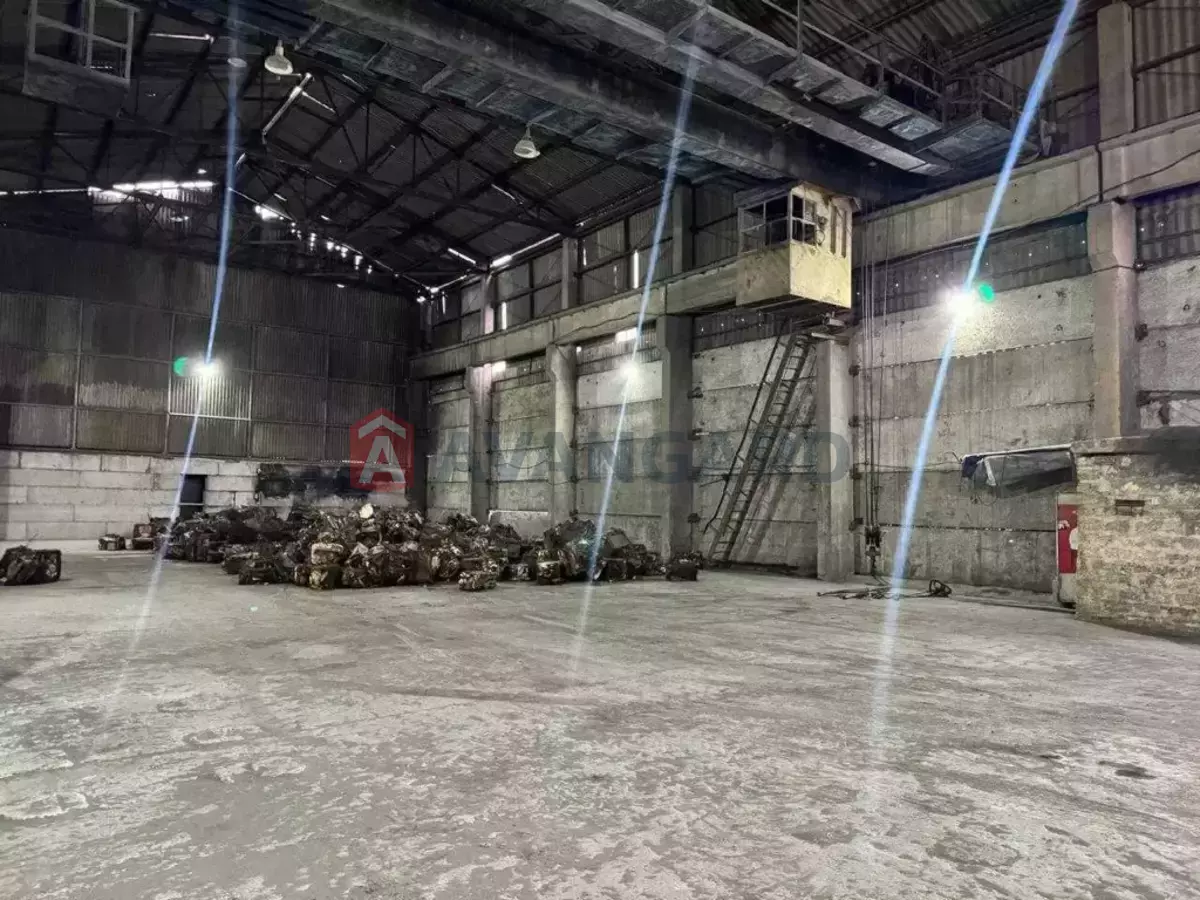 ��������� ���������, 800 ��.�. ���� 1