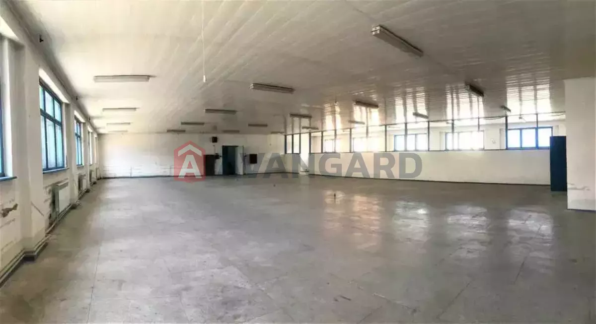 ��������� ���������, 430 ��.�. ���� 7