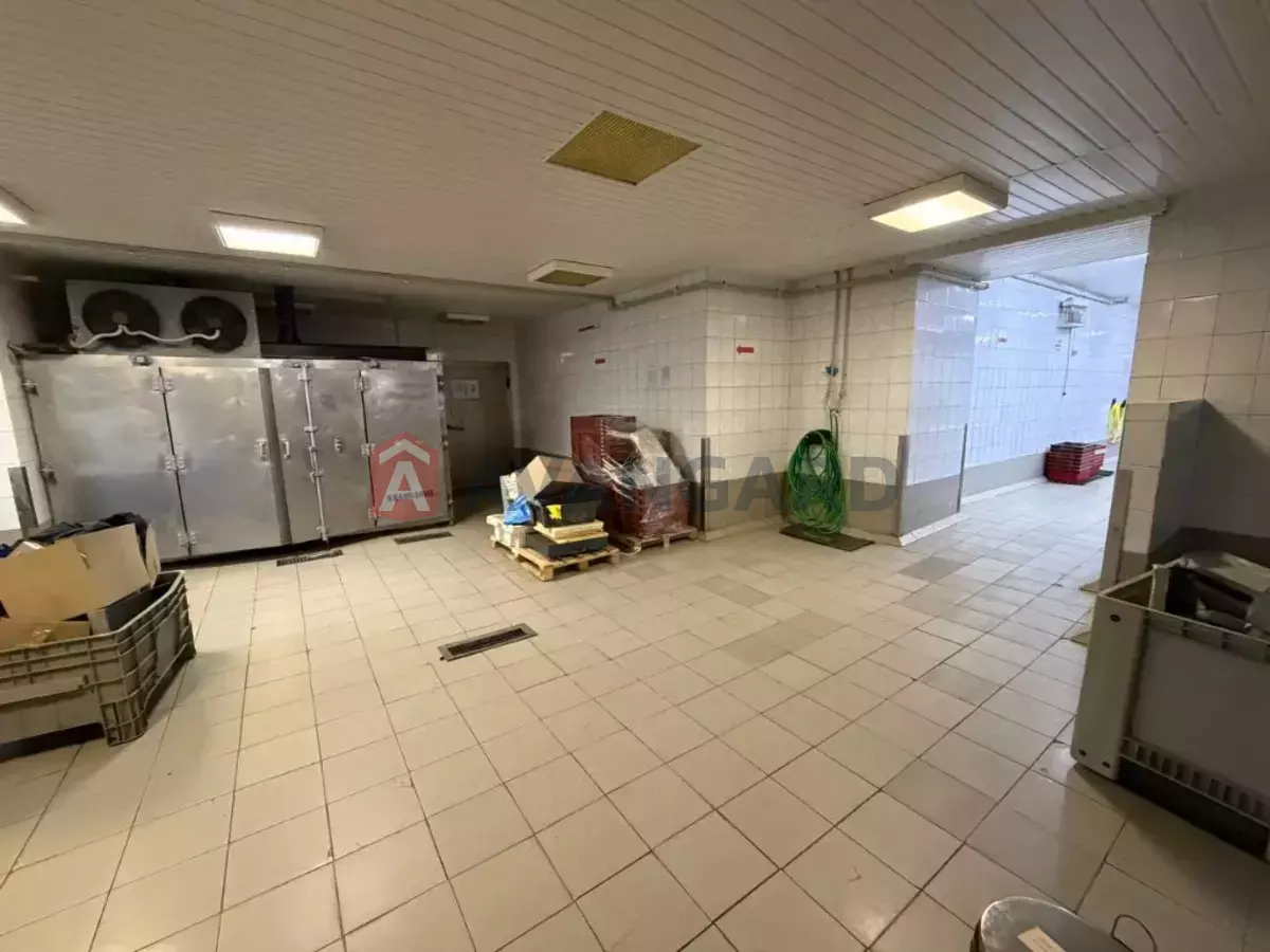 ���������������� ���������, 580 ��.�. ���� 8