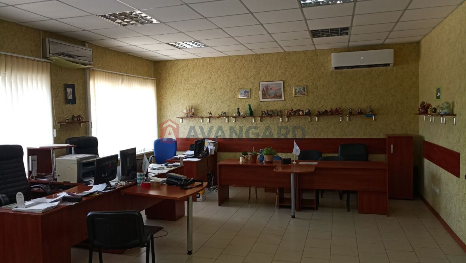 ��������� ���������, 8135 ��.�. ���� 11