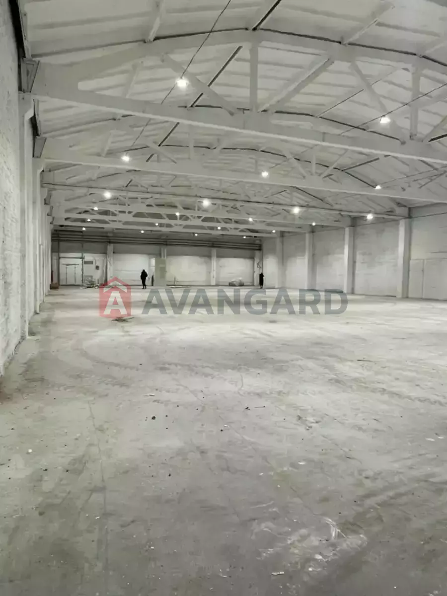 ��������� ���������, 1150 ��.�. ���� 2