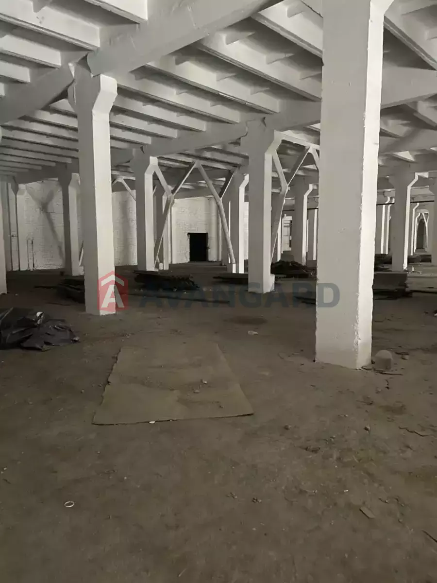 ��������� ���������, 4600 ��.�. ���� 10