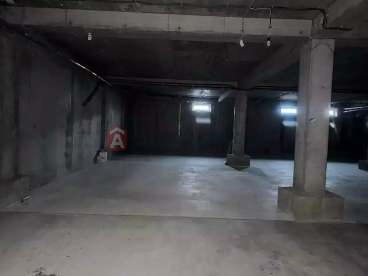 ��������� ���������, 270 ��.�. ���� 12