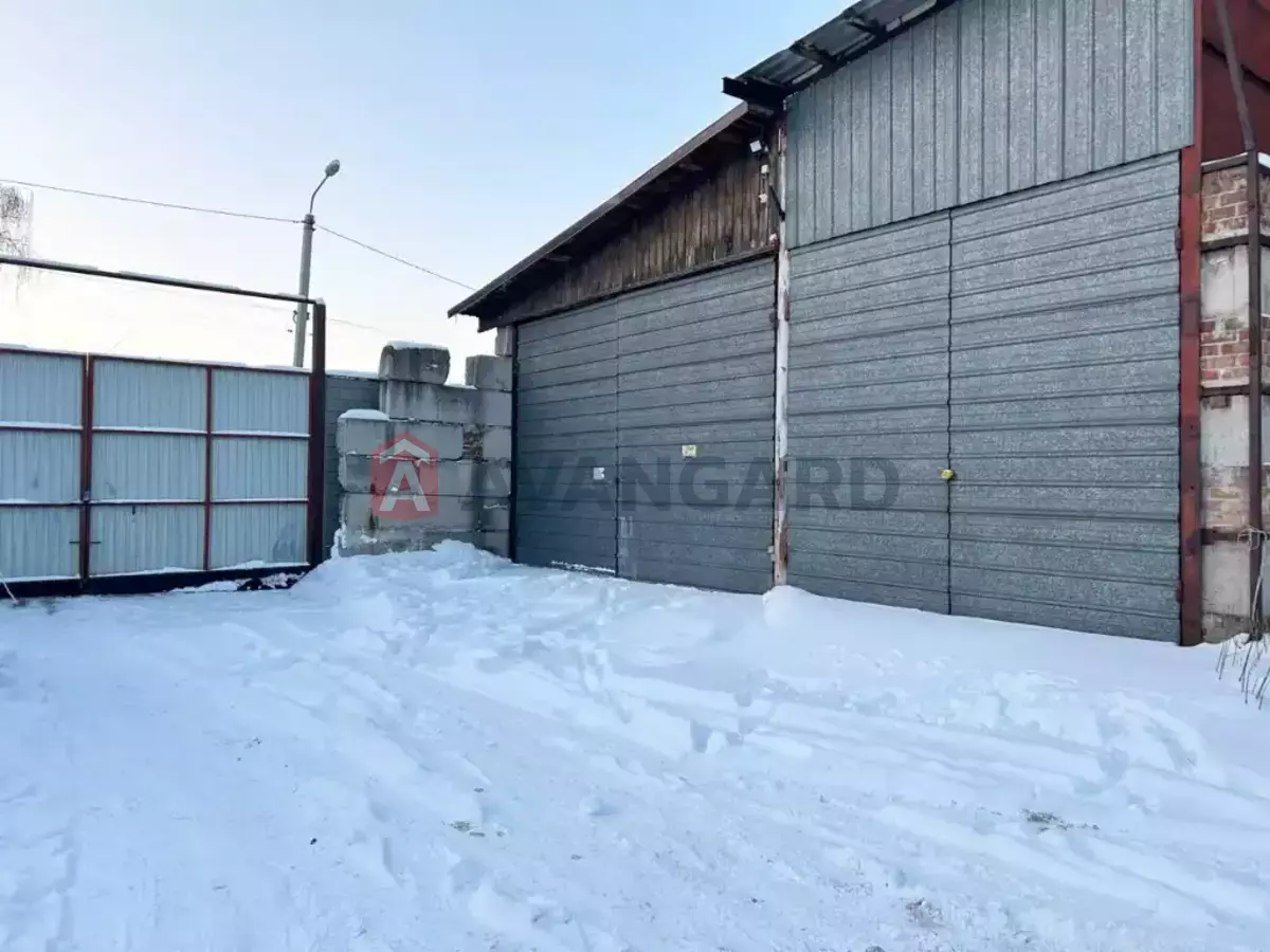 ���������������� ���������, 170 ��.�. ���� 10