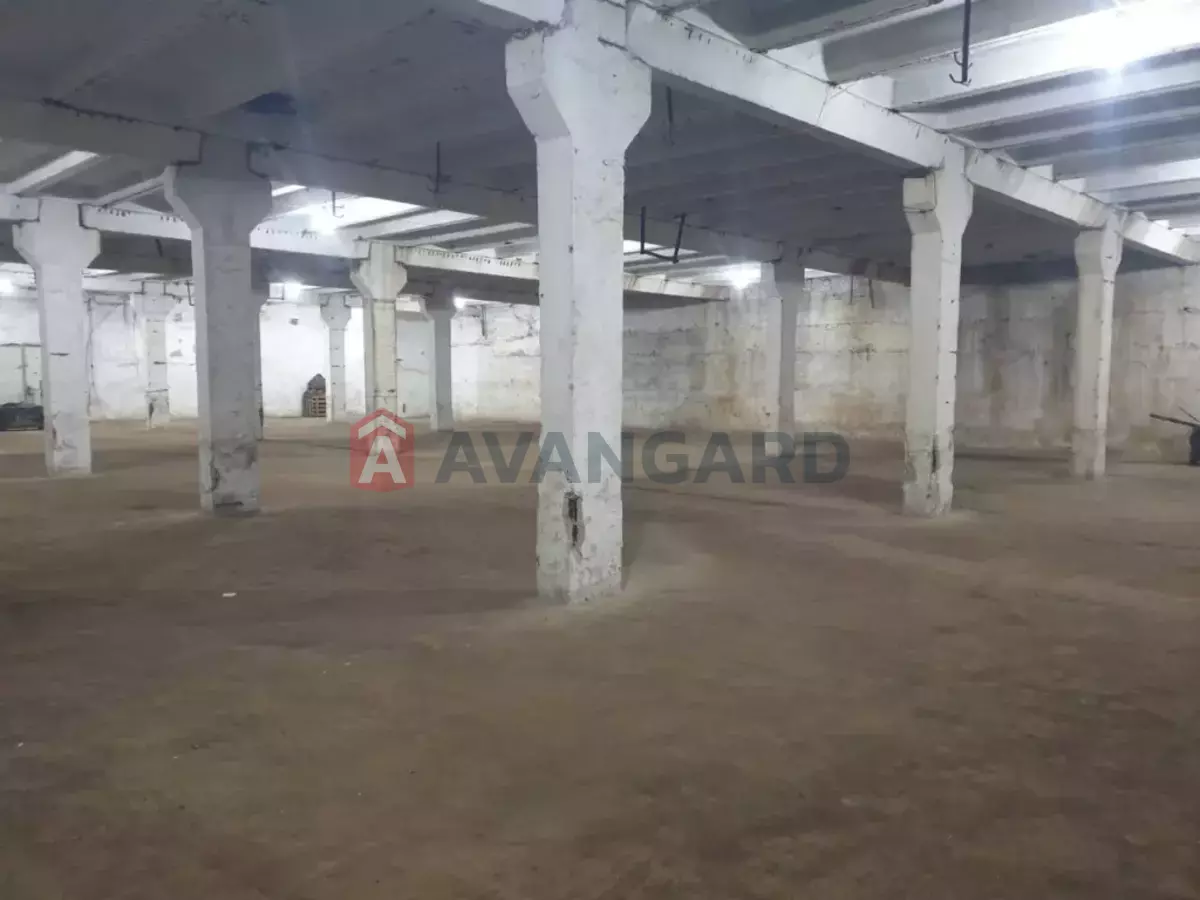 ��������� ���������, 520 ��.�. ���� 1