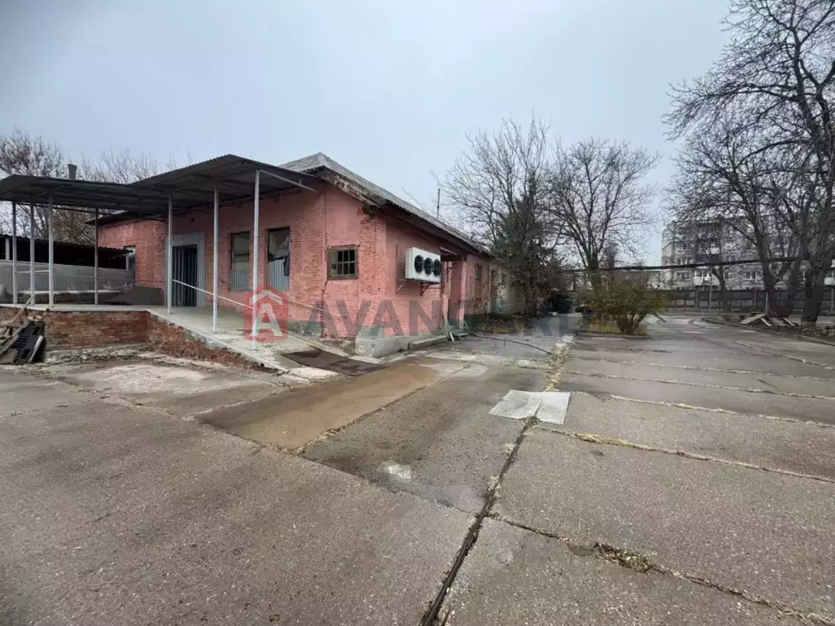 ��������� ���������, 40 ��.�. ���� 3