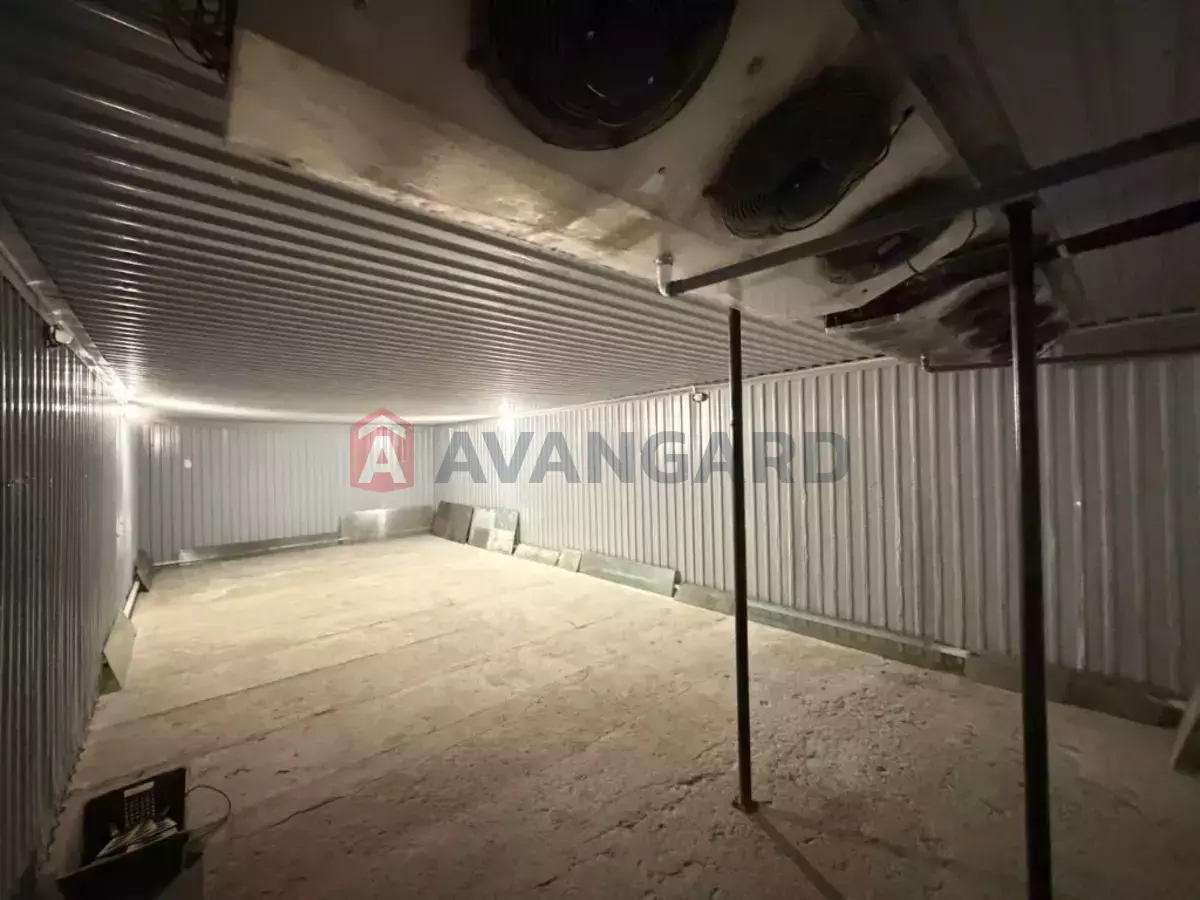 ���������������� ���������, 580 ��.�. ���� 14