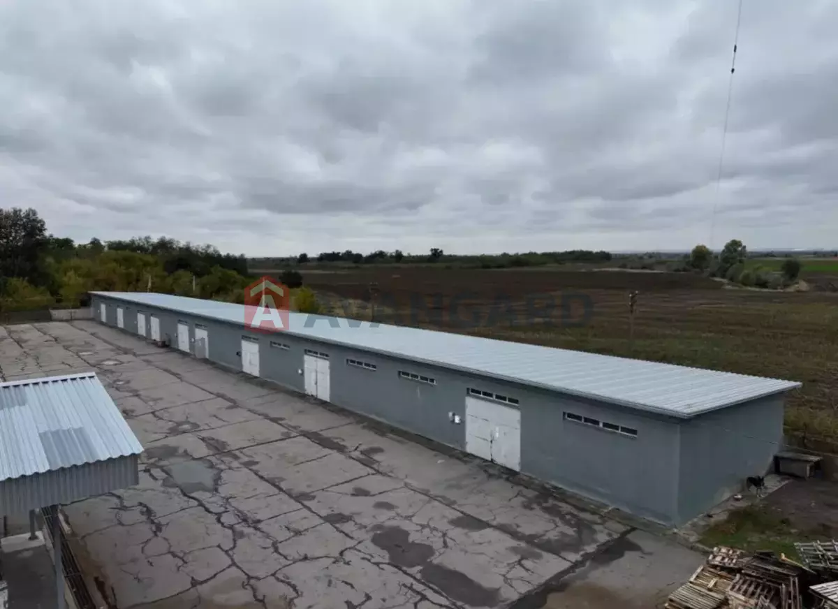 ��������� ���������, 3500 ��.�. ���� 3