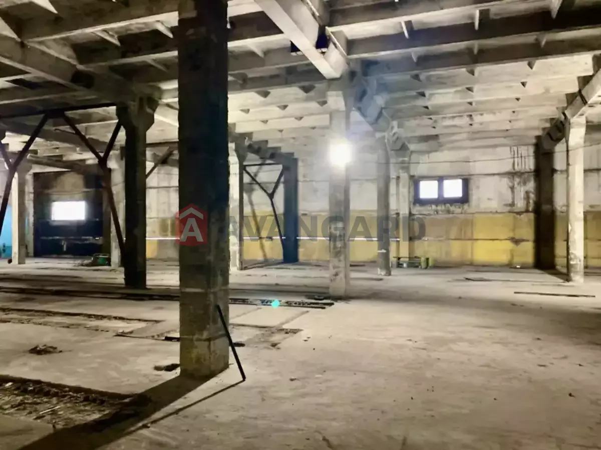 ��������� ���������, 1000 ��.�. ���� 7