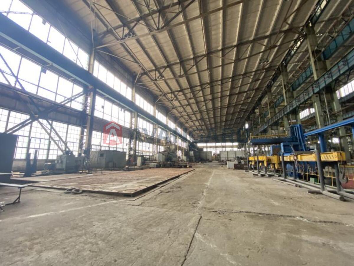 ���������������� ���������, 10000 ��.�. ���� 2