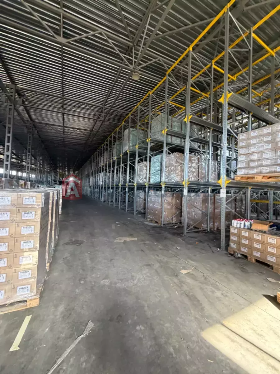 ��������� ���������, 3700 ��.�. ���� 2