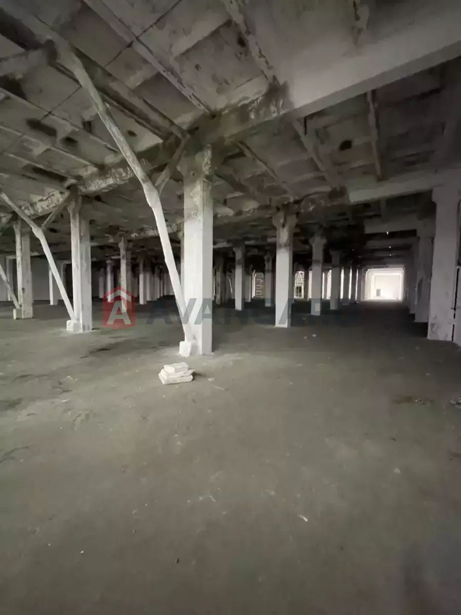 ��������� ���������, 4600 ��.�. ���� 9