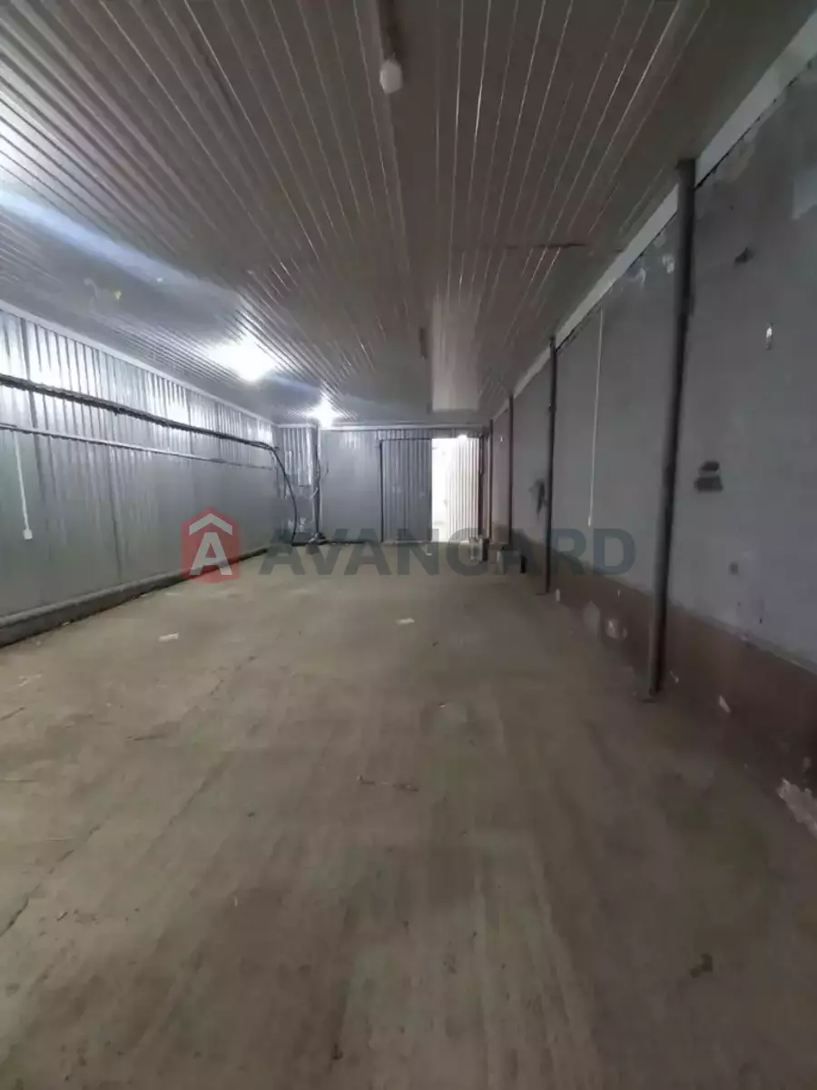 ��������� ���������, 250 ��.�. ���� 4