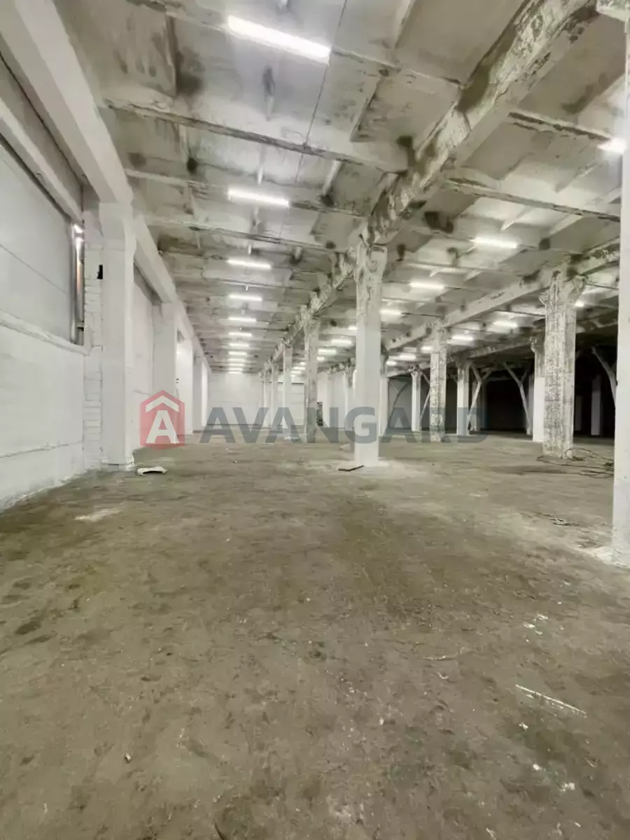 ��������� ���������, 4250 ��.�. ���� 1