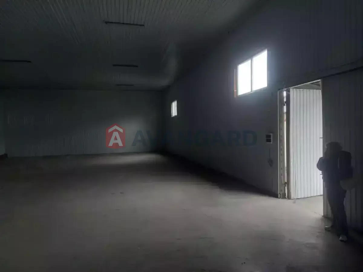 ��������� ���������, 300 ��.�. ���� 2