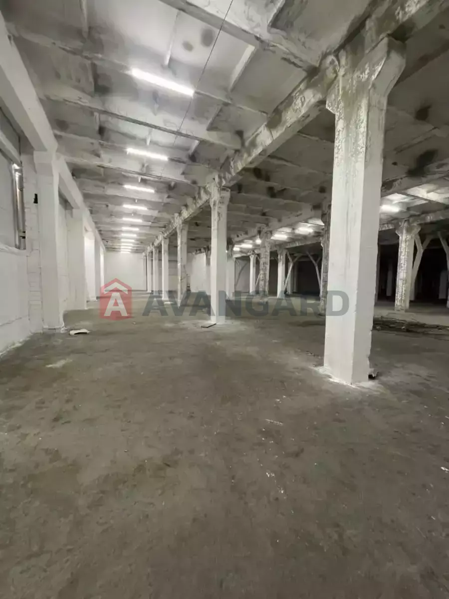 ��������� ���������, 4600 ��.�. ���� 13