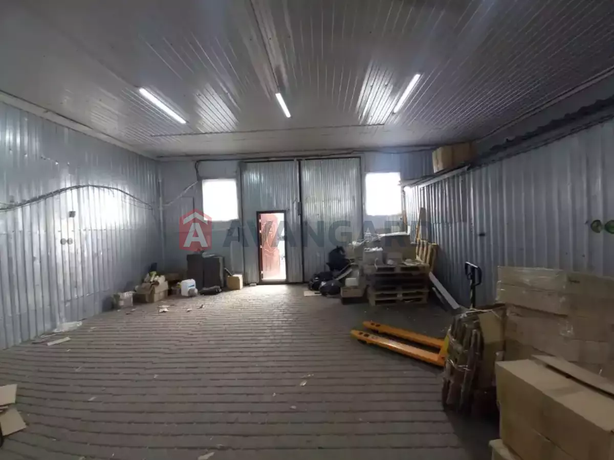 ��������� ���������, 250 ��.�. ���� 3