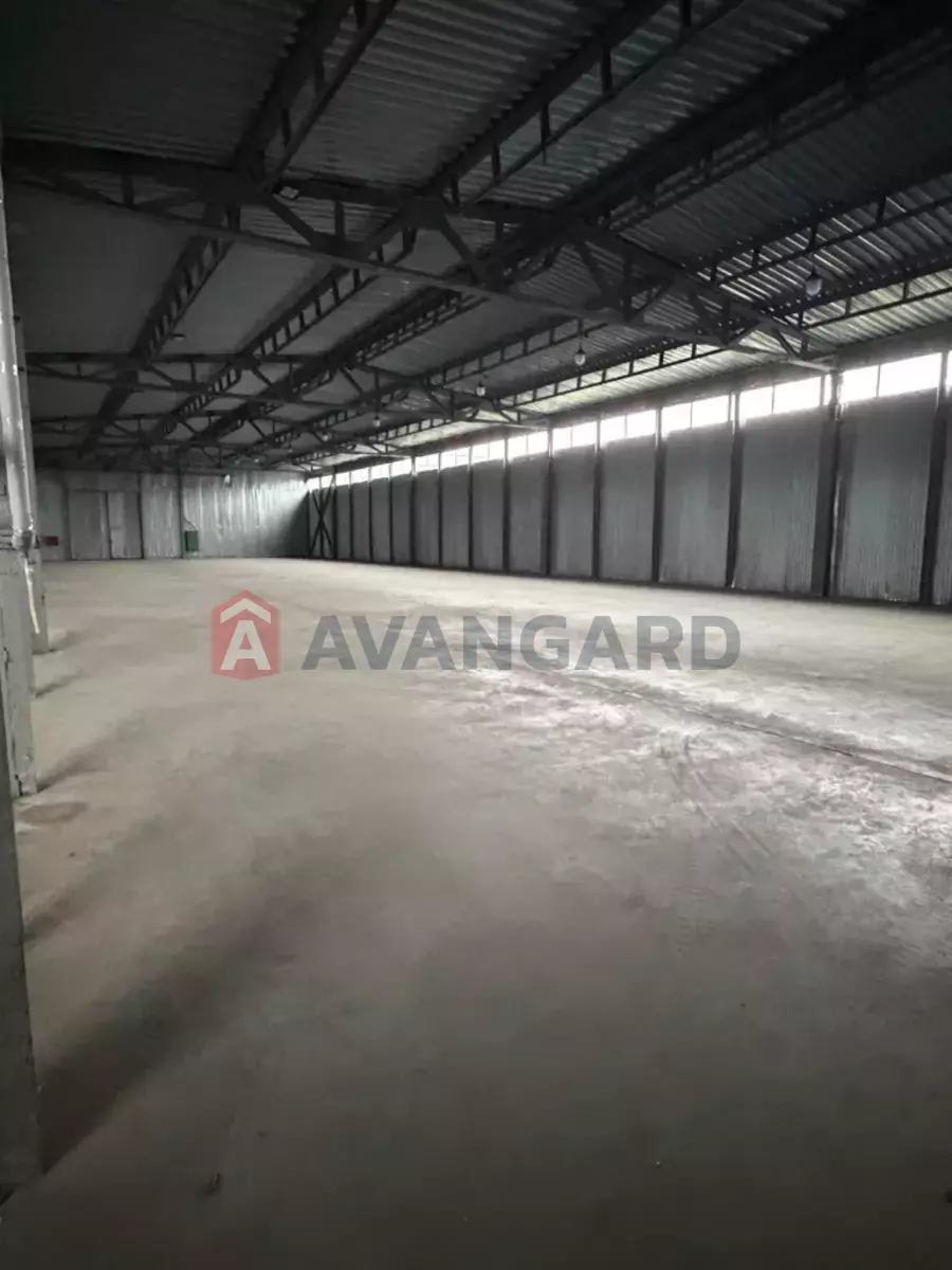 ��������� ���������, 1000 ��.�. ���� 3