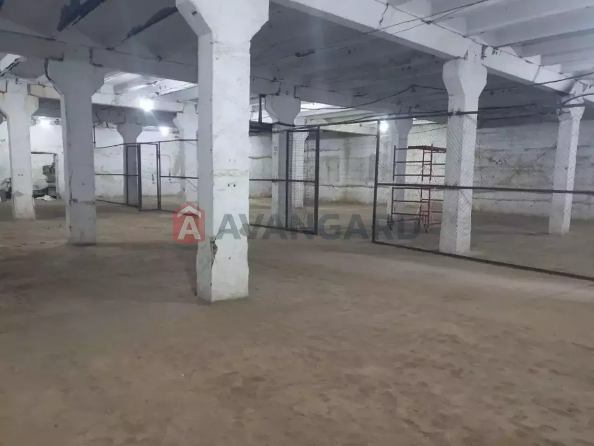 ��������� ���������, 4000 ��.�. ���� 4