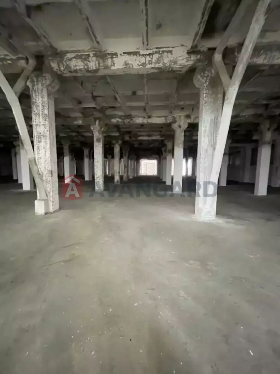 ��������� ���������, 4600 ��.�. ���� 7