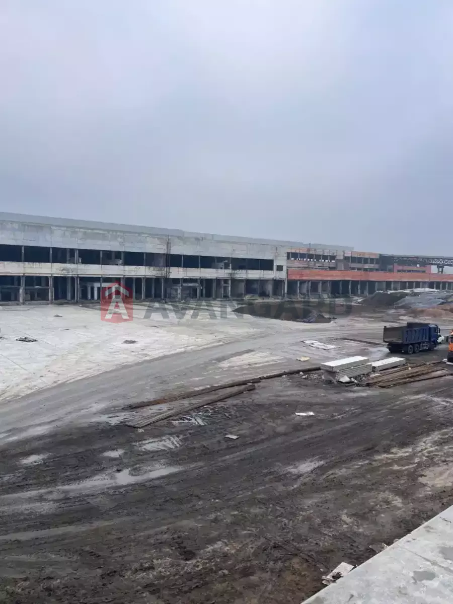 ��������� ���������, 1150 ��.�. ���� 3