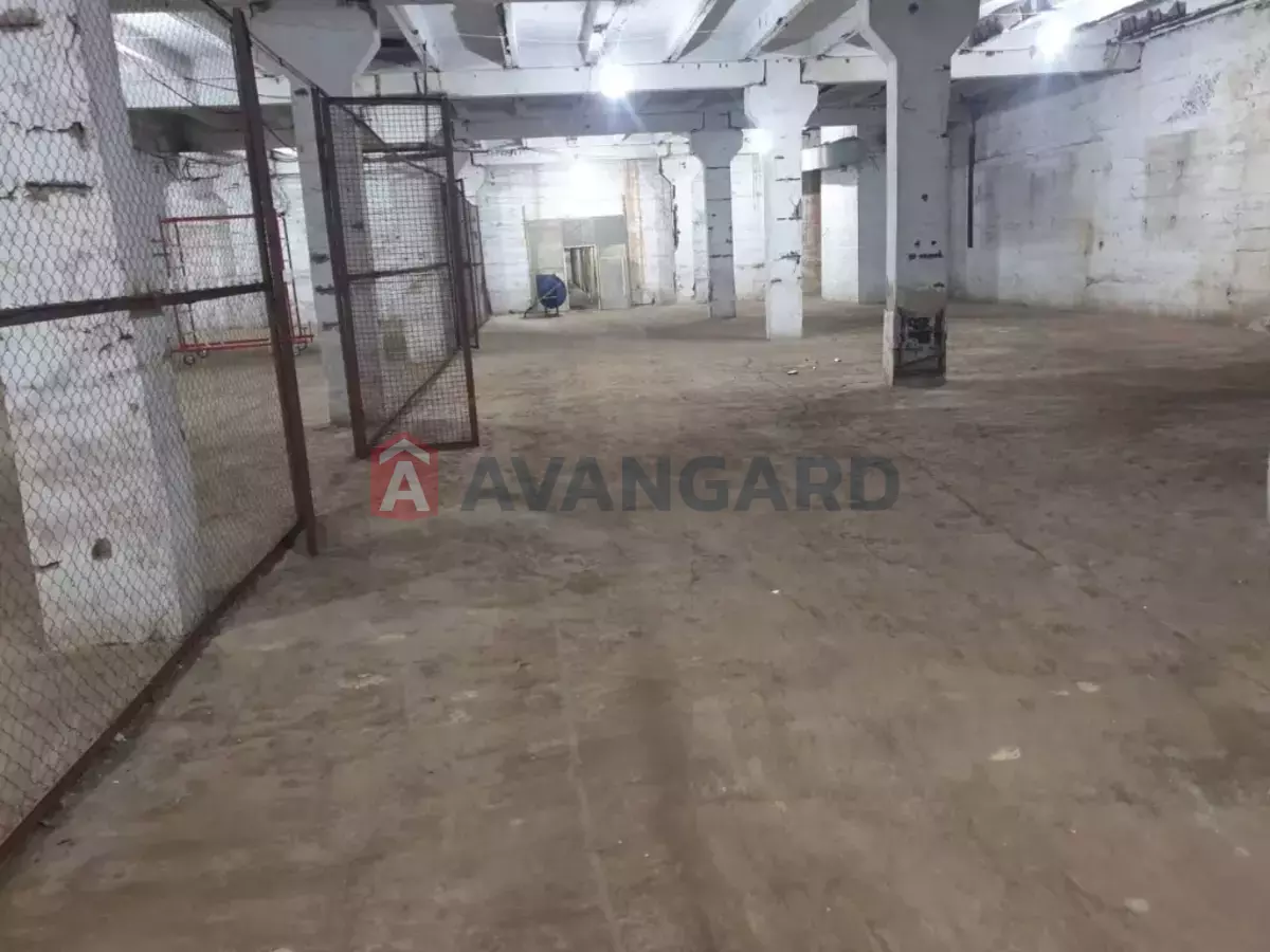 ��������� ���������, 4000 ��.�. ���� 1