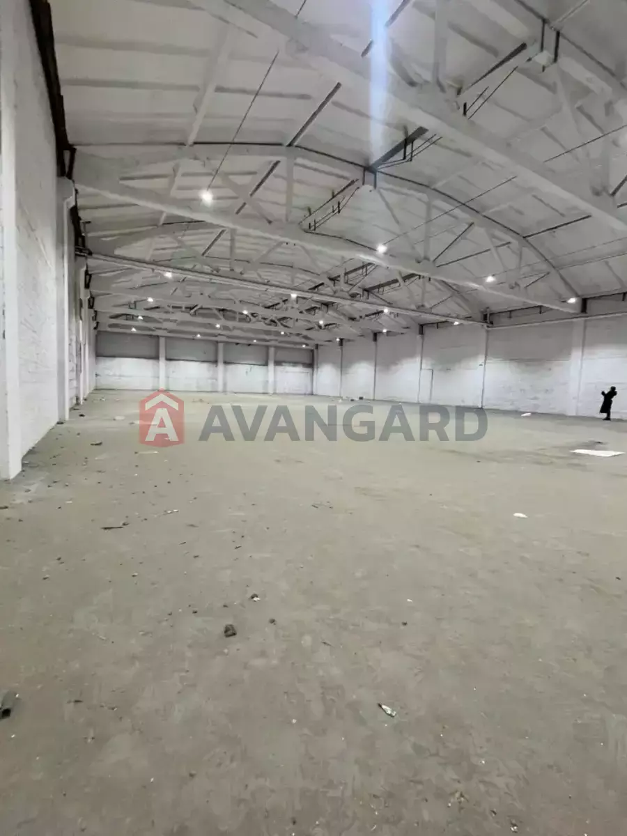 ��������� ���������, 1120 ��.�. ���� 3