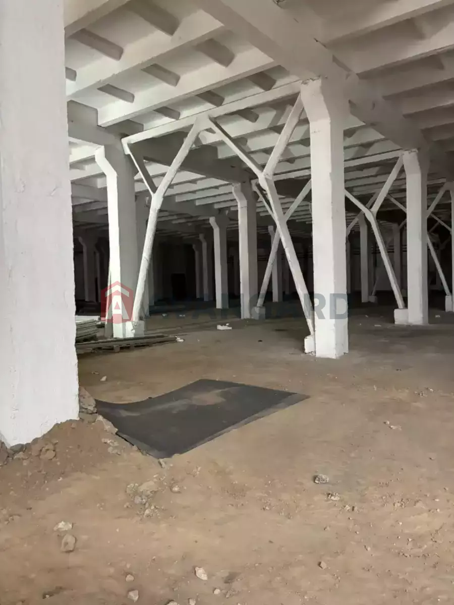 ��������� ���������, 4600 ��.�. ���� 26