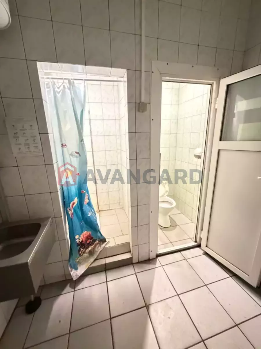 ���������������� ���������, 580 ��.�. ���� 17