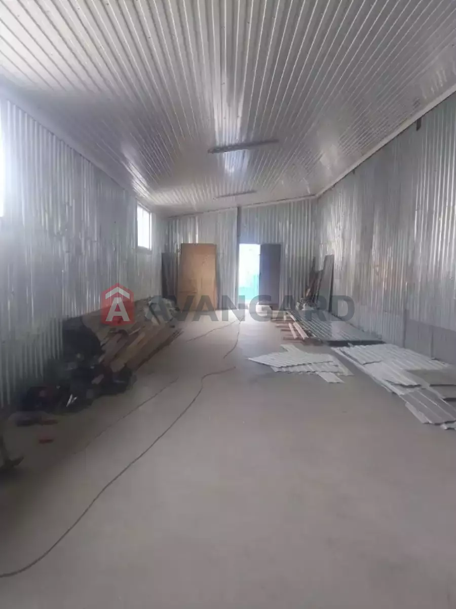 ��������� ���������, 100 ��.�. ���� 3