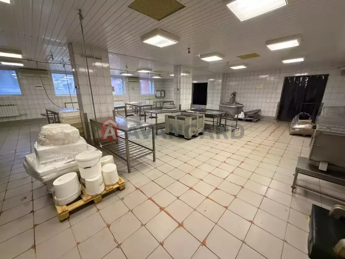 ���������������� ���������, 580 ��.�. ���� 3