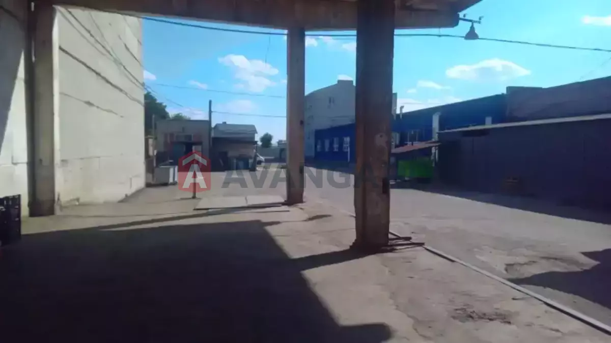 ��������� ���������, 250 ��.�. ���� 6