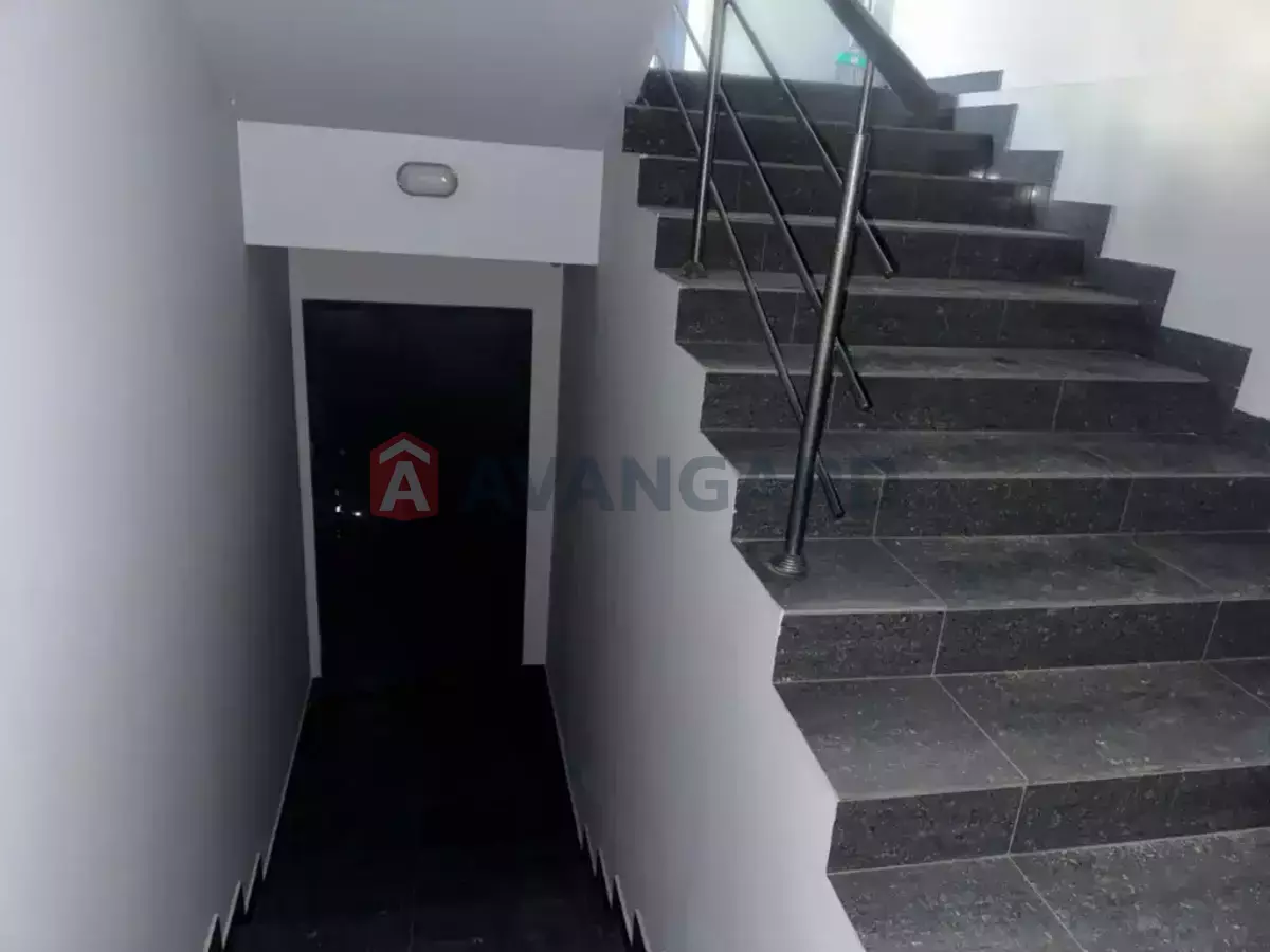 ��������� ���������, 270 ��.�. ���� 13