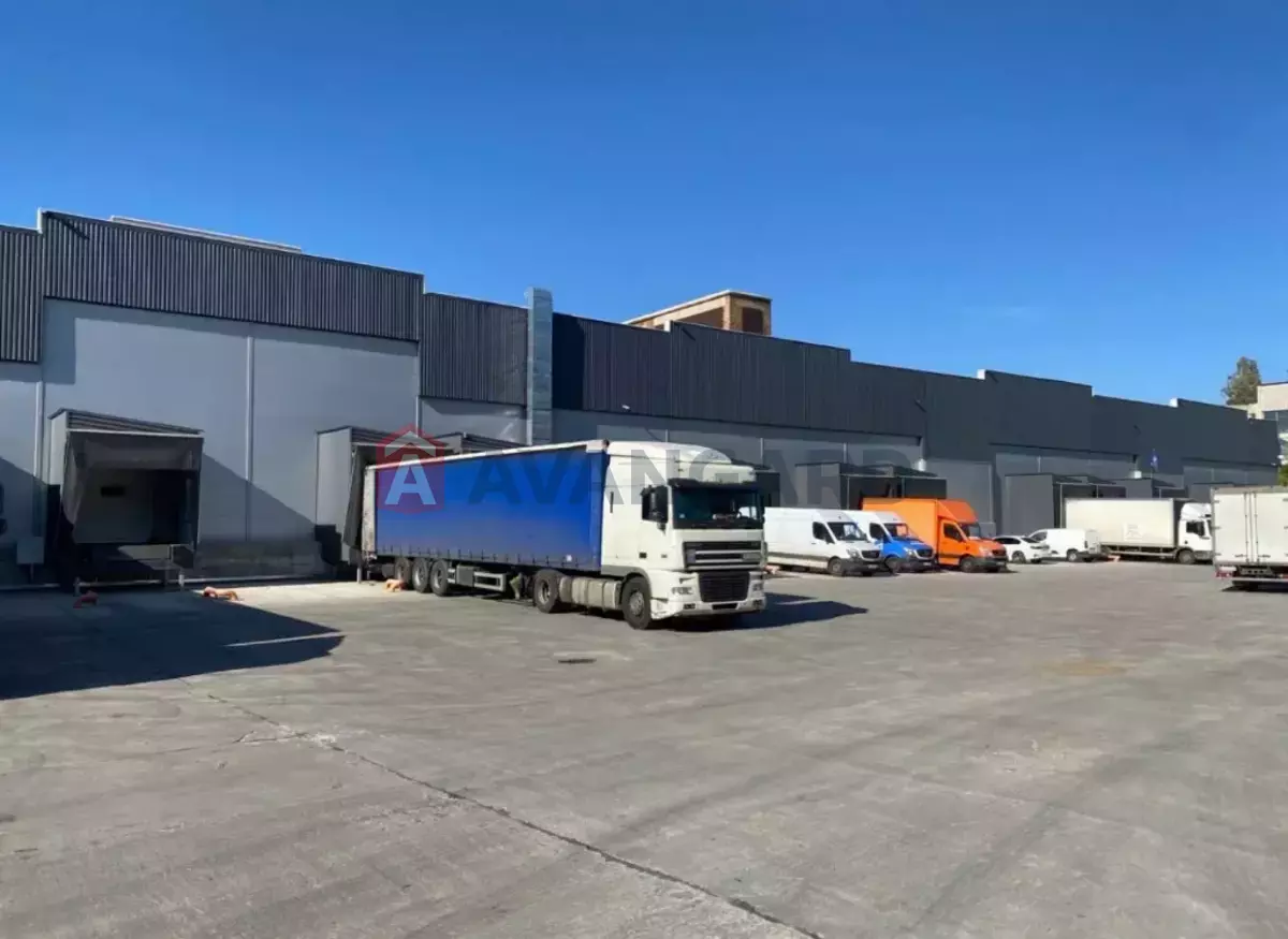 ��������� ���������, 1100 ��.�. ���� 1