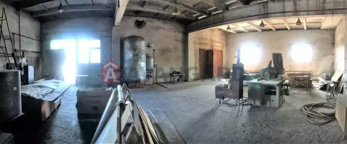 ��������� ���������, 430 ��.�. ���� 5