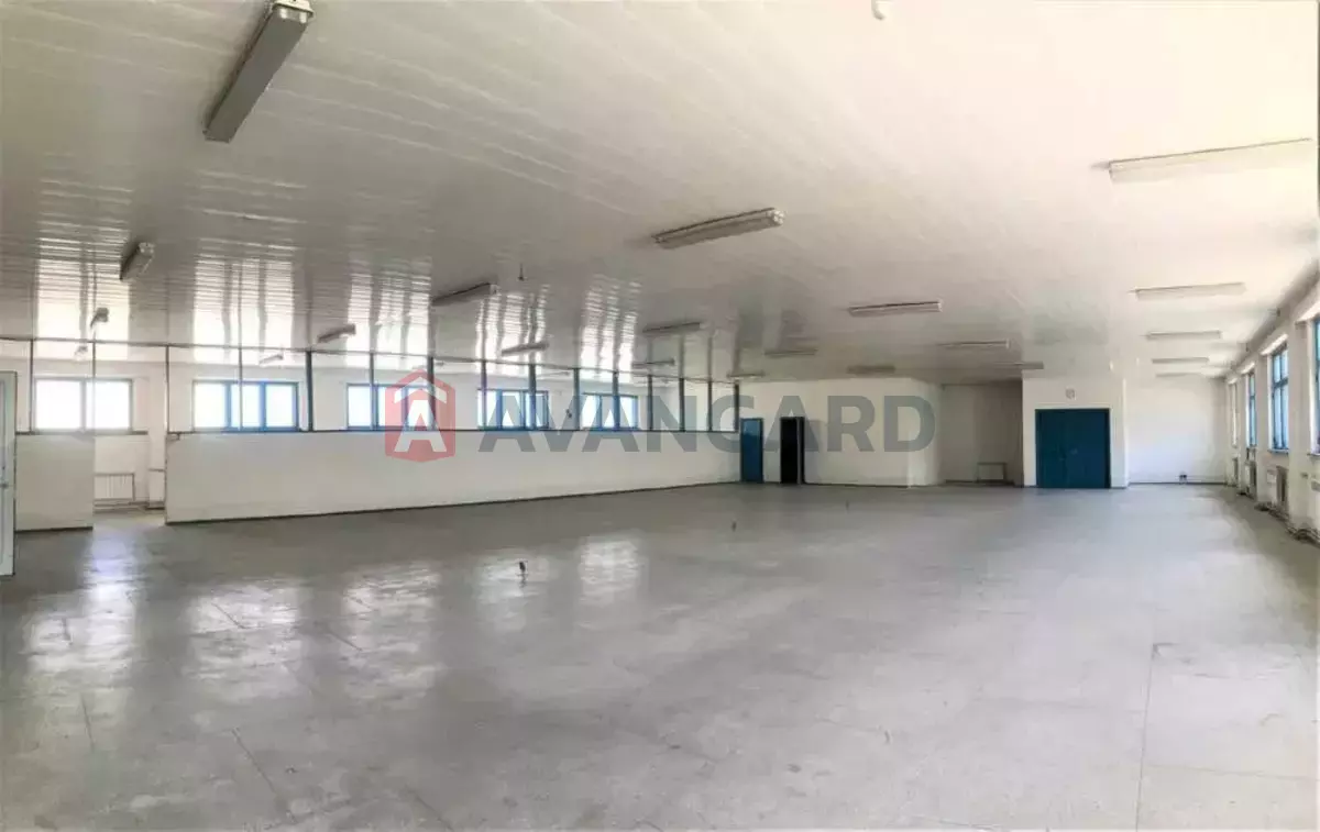 ��������� ���������, 430 ��.�. ���� 6