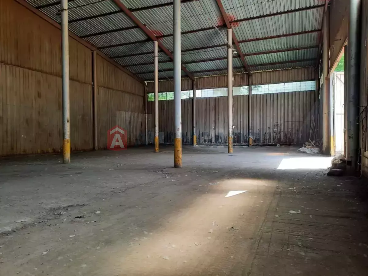 ��������� ���������, 163 ��.�. ���� 3