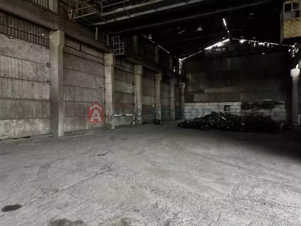 ��������� ���������, 800 ��.�. ���� 3