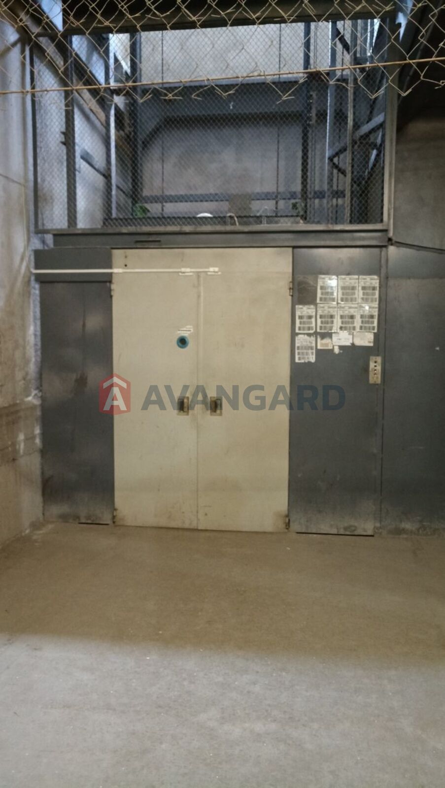 ��������� ���������, 8135 ��.�. ���� 4