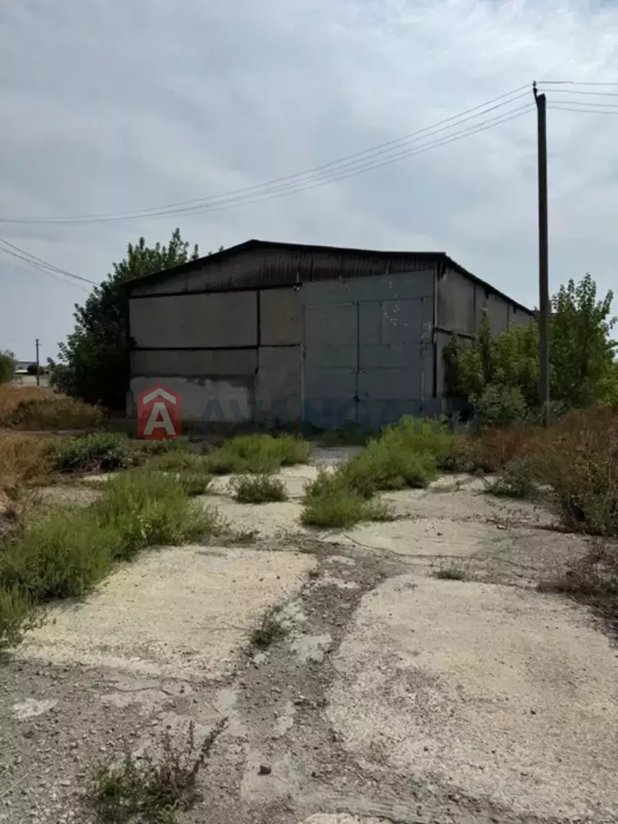  , 1116 ..  12
