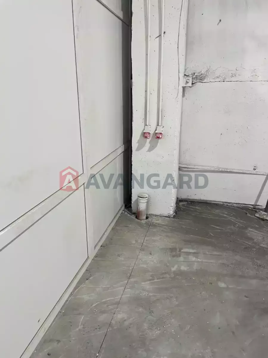 ��������� ���������, 1150 ��.�. ���� 8