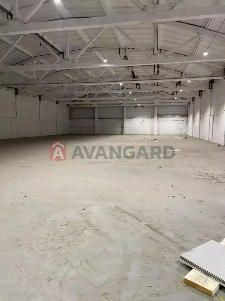 ��������� ���������, 1120 ��.�. ���� 1